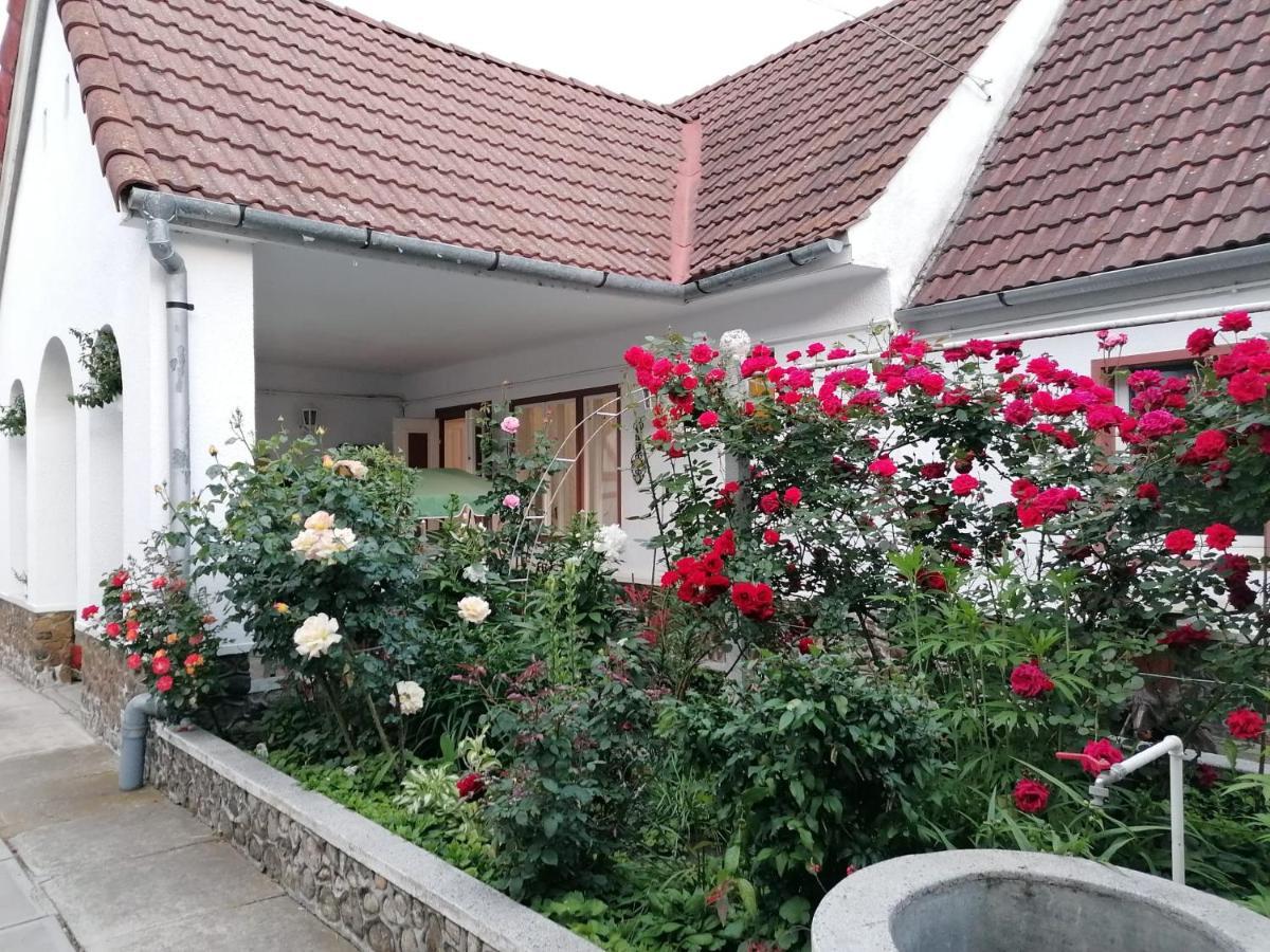 Pensiunea Spack Hotel Cristian  Exterior photo